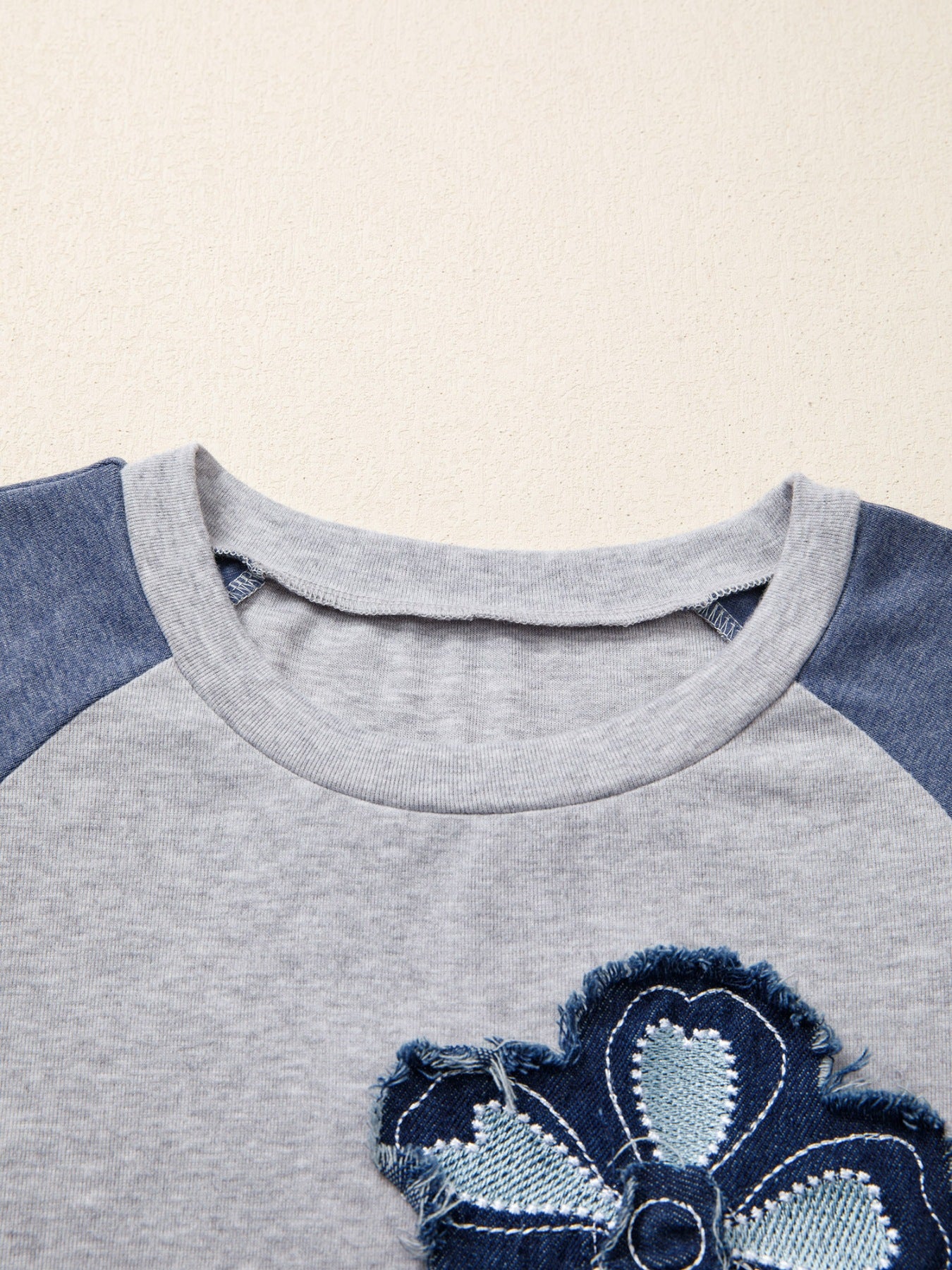 Color Block Flower Embroidered Patch Graphic Raglan Long Sleeve Top - Image 6