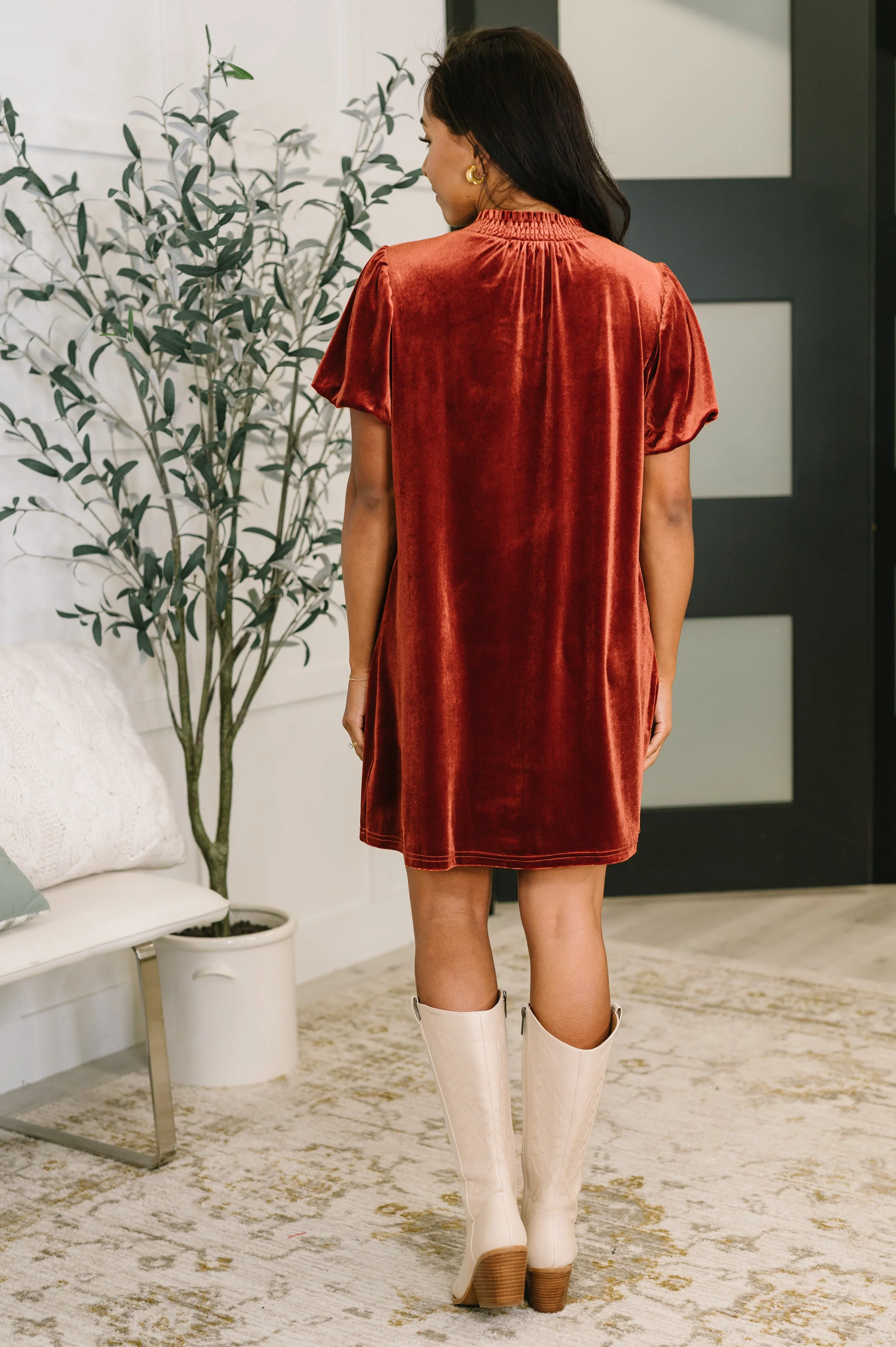 Damsel in This Velvet Dress - Image 5