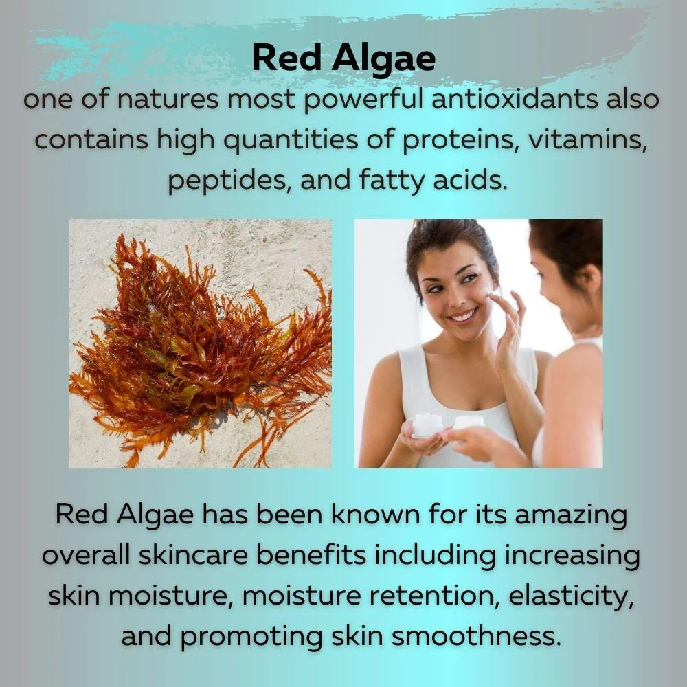 Delfanti-Milano • COLLAGEN REJUVENATING AND NOURISHING Night Cream • Face and Neck Moisturizer with BLACK PEARL and RED ALGAE GEL• Made in Italy - Image 6