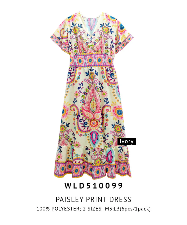 Paisley Print Dress - Image 5